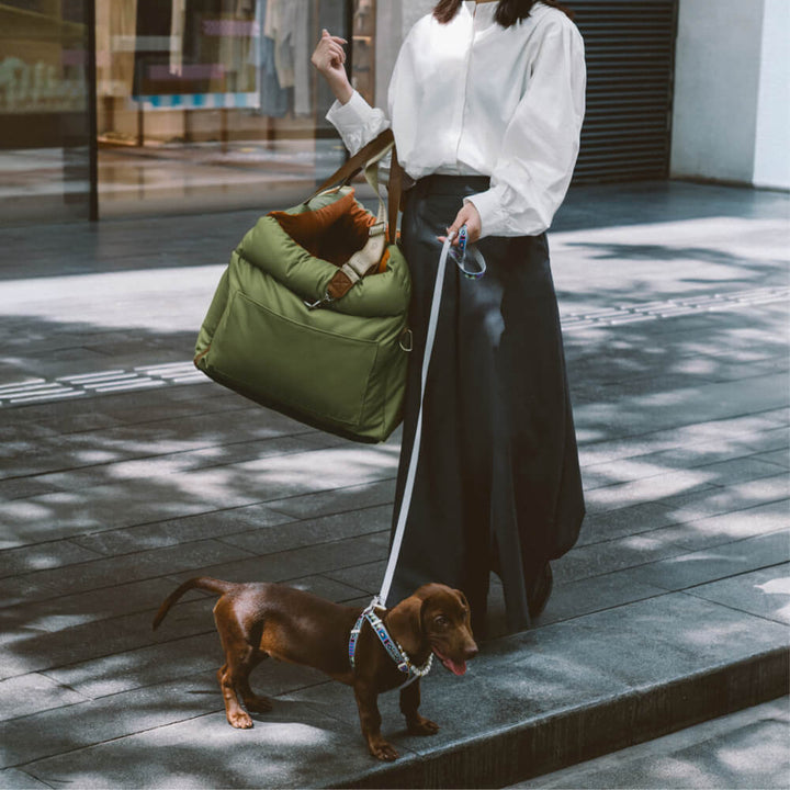 Seggiolino Auto per Cani in Similpelle – Urban Voyager